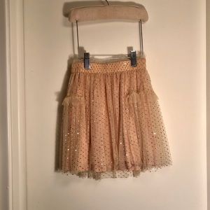 Sparkly Tulle Skirt by Zara